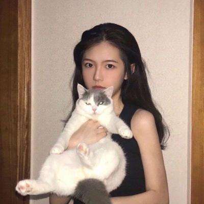 死神vs火影羁绊手机版下载